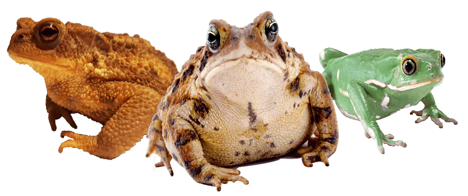 Image postée par le membre