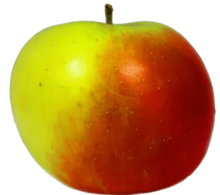 Image postée par le membre