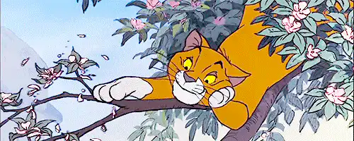 Image postée par le membre