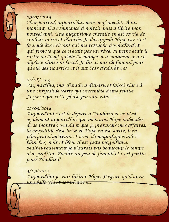 Image postée par le membre