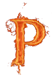 Image postée par le membre