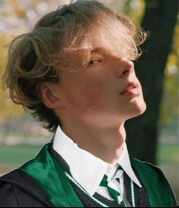 Image postée par le membre