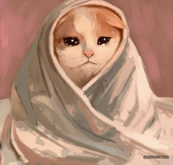 Image postée par le membre