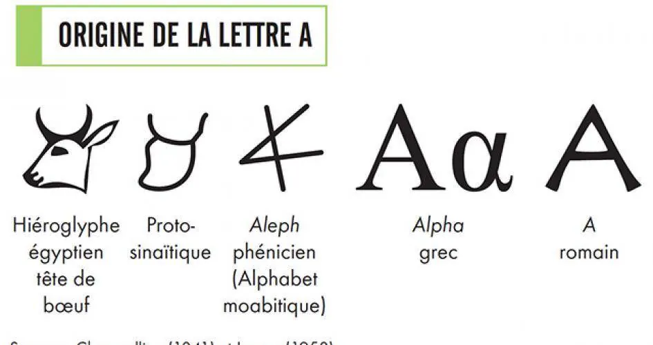 Image postée par le membre