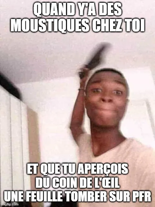 Image postée par le membre