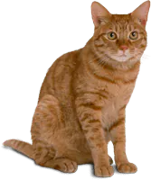 Image postée par le membre