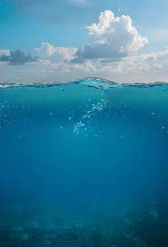 Image postée par le membre
