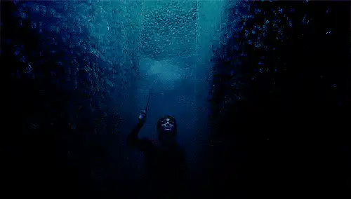 Image postée par le membre