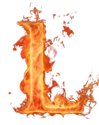 Image postée par le membre