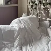 Image postée par le membre