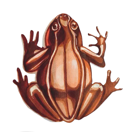 Image postée par le membre