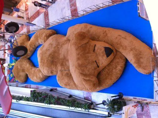 Image postée par le membre