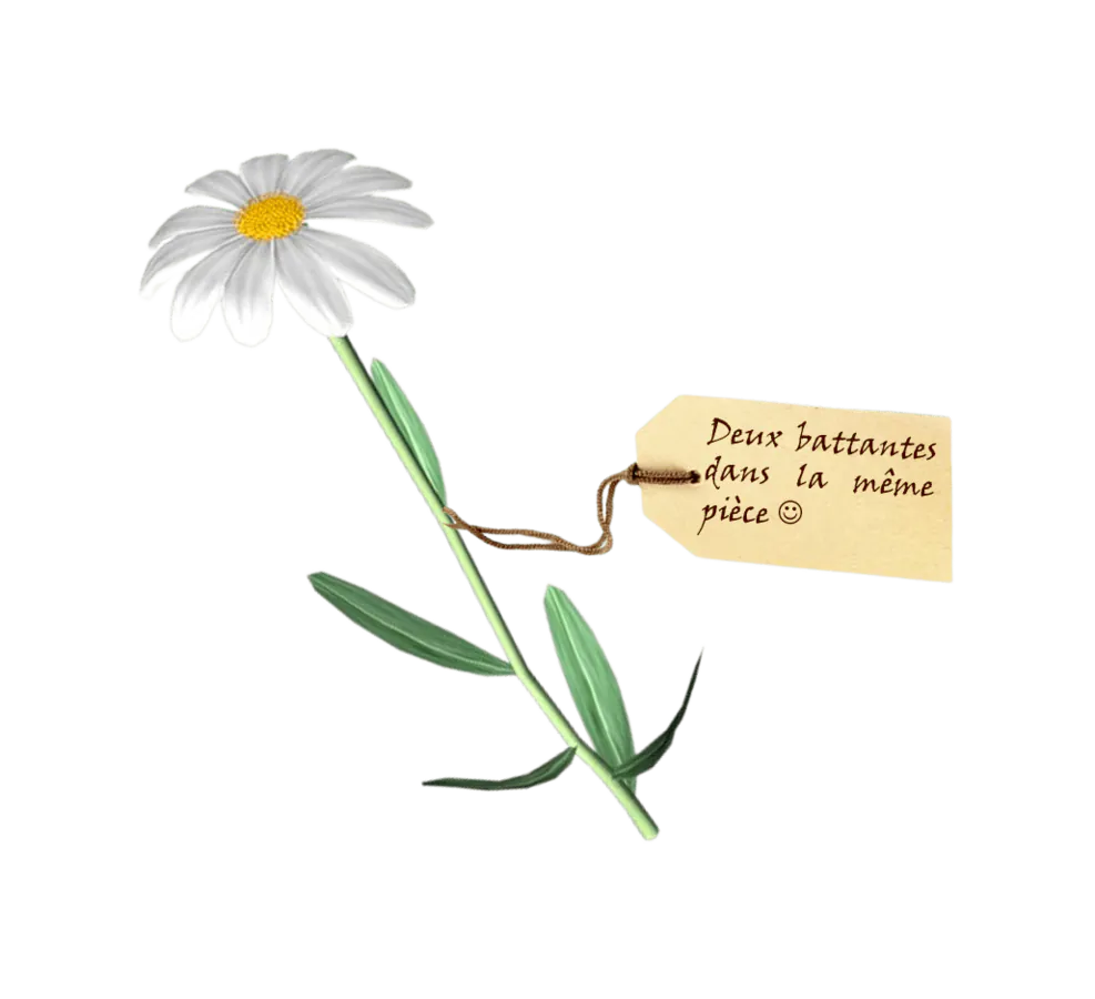 Image postée par le membre