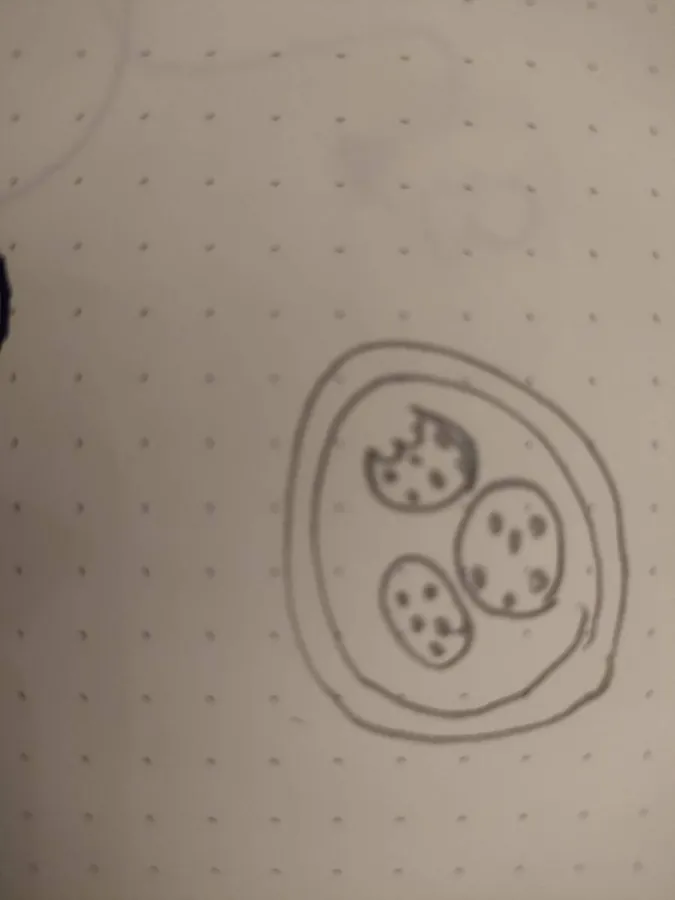 Image postée par le membre