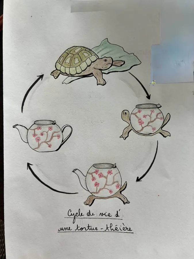 Image postée par le membre