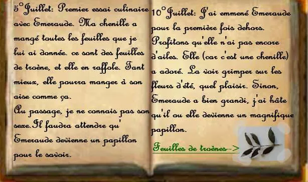 Image postée par le membre