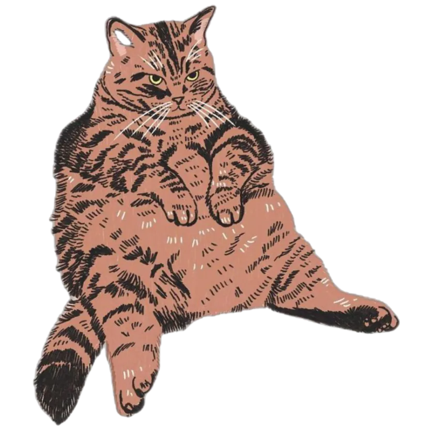 chat tigré obèse assis sur les fesses