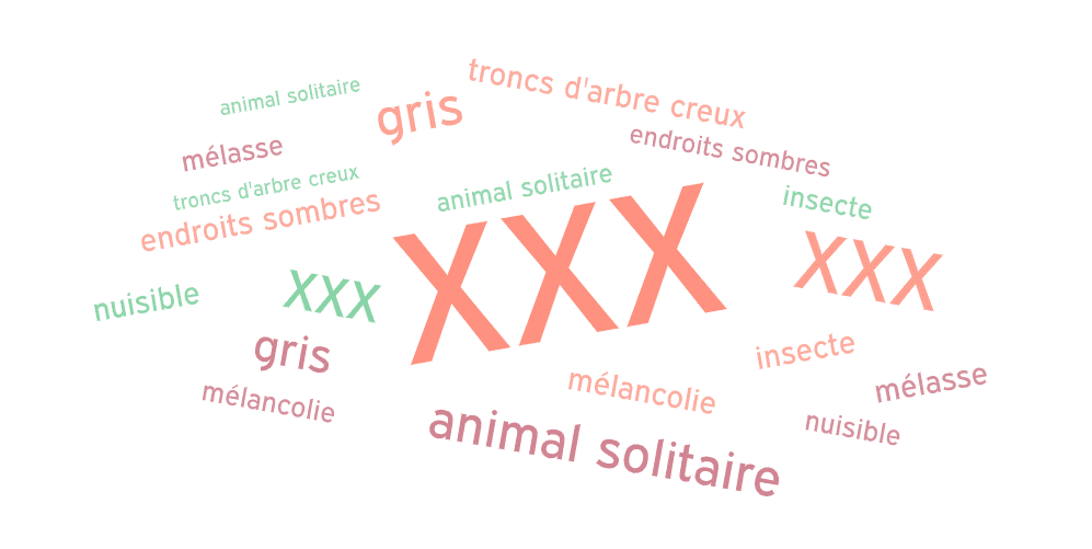 Image postée par le membre