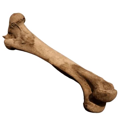 Image postée par le membre