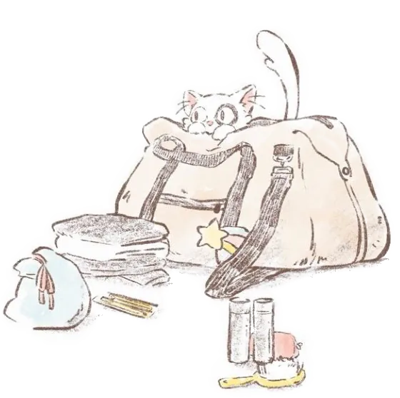 valise et affaires de voyages- chat dans le sac