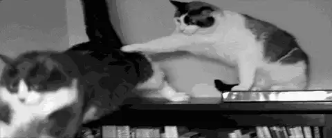 Image postée par le membre