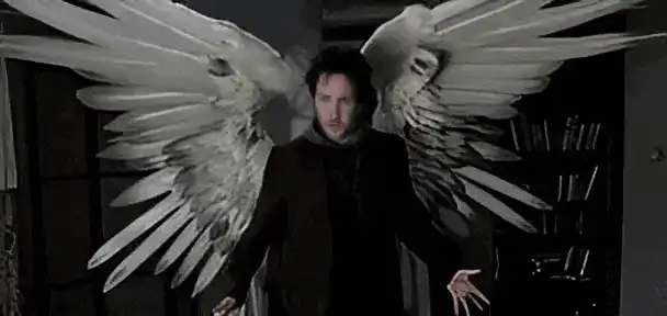 Image postée par le membre