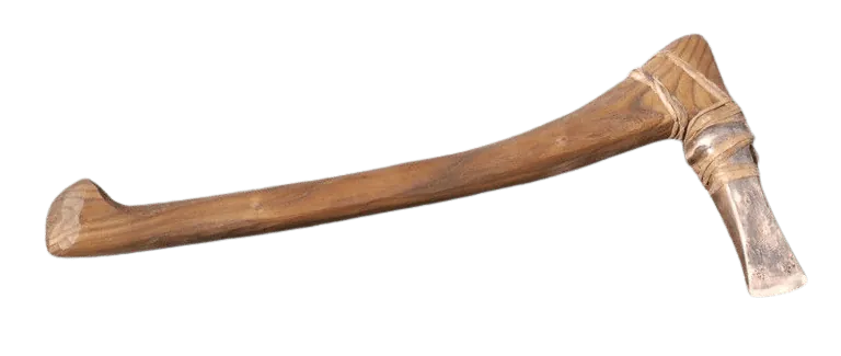 Image postée par le membre