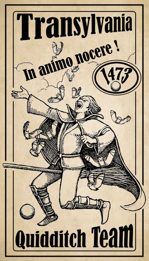 Image postée par le membre