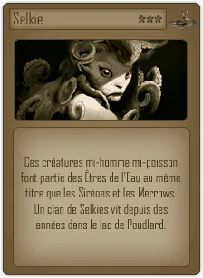 Image postée par le membre