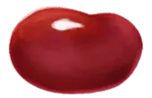 Image postée par le membre