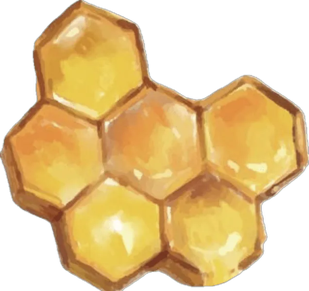 Image postée par le membre