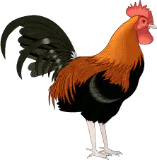 Image postée par le membre