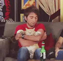 Image postée par le membre