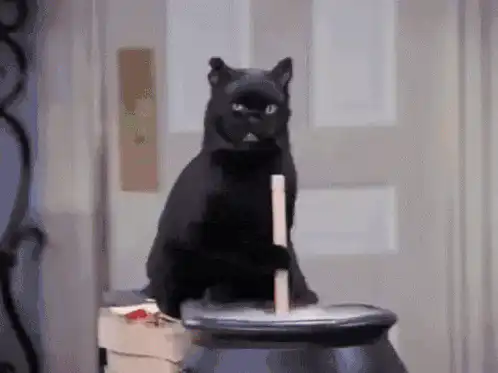 Image postée par le membre
