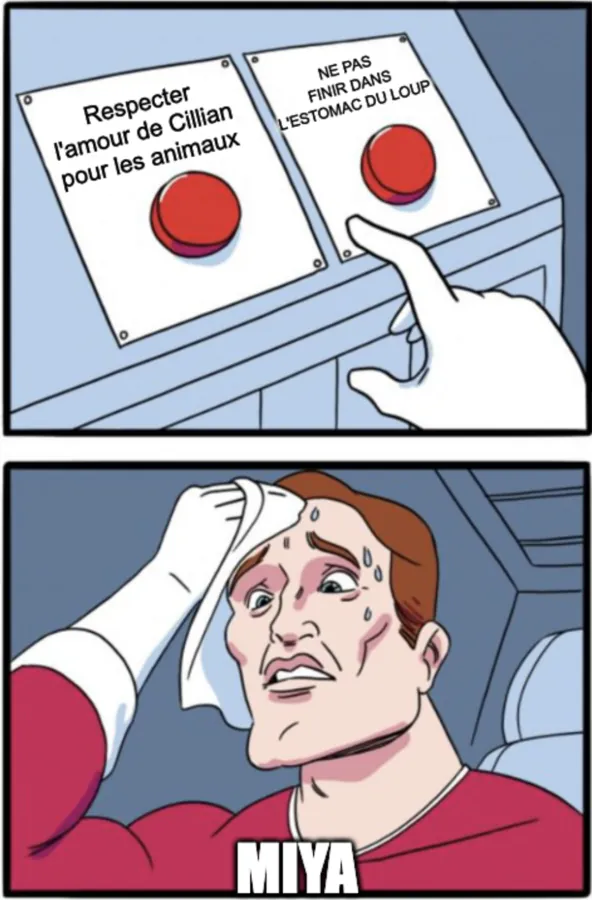 Image postée par le membre