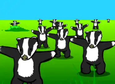 Image postée par le membre