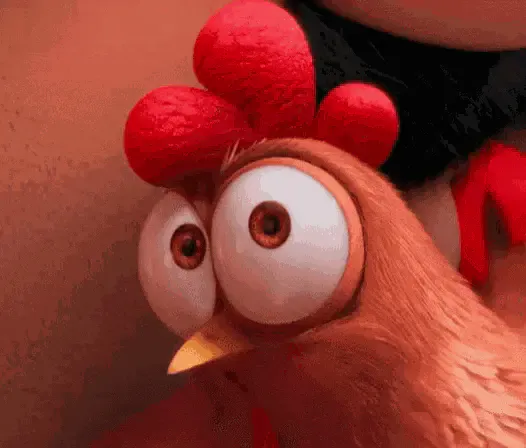 Image postée par le membre