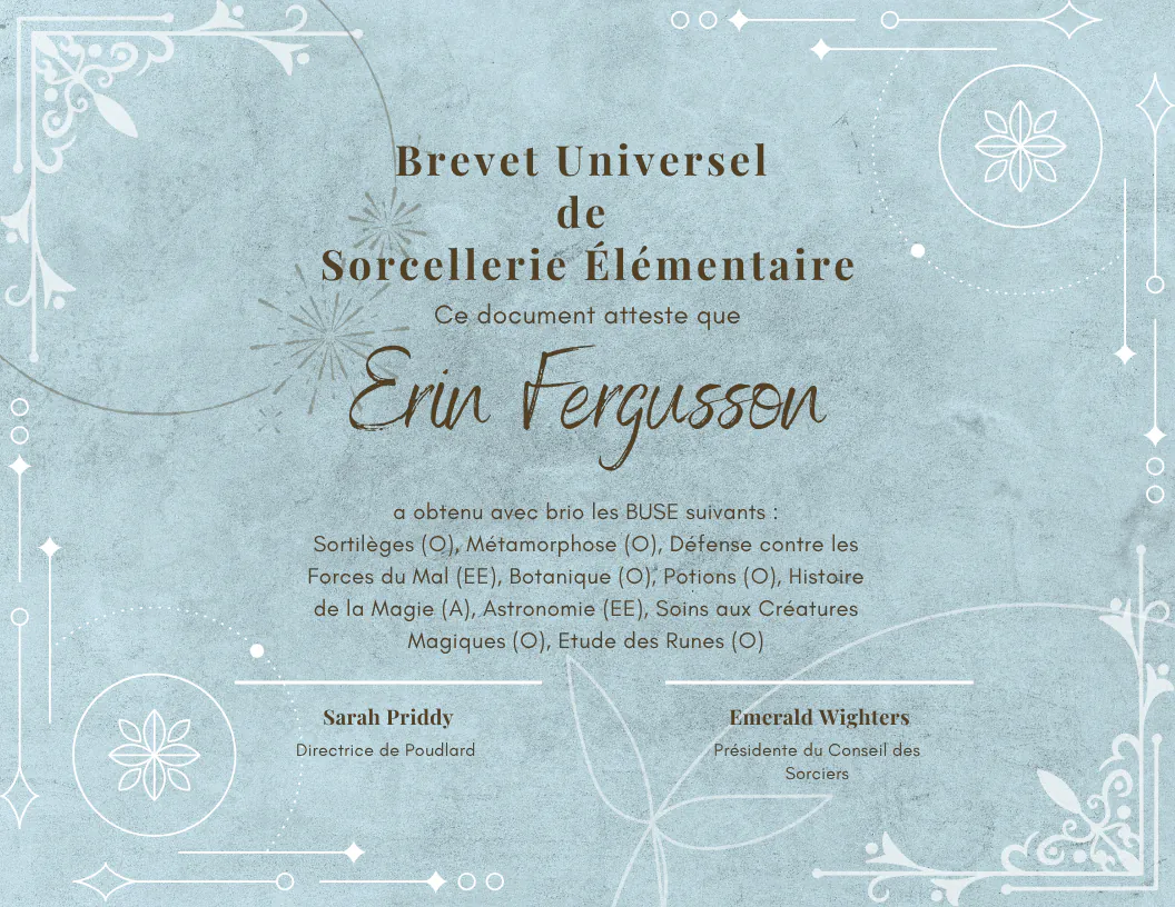 BUSE d'Erin Fergusson