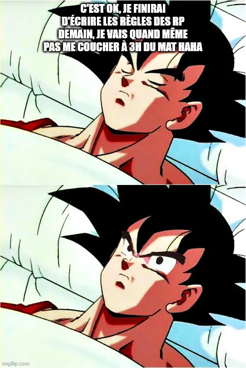 meme goku qui dort puis se réveille : je vais quand même pas finir d'écrire les règles des RP à 3h du matin...