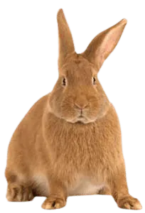 Image postée par le membre