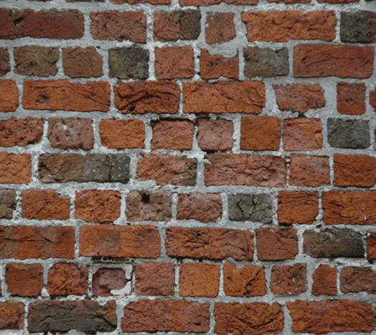 Image postée par le membre