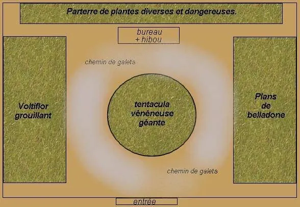 Image postée par le membre