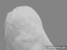 Image postée par le membre