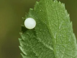 Image postée par le membre