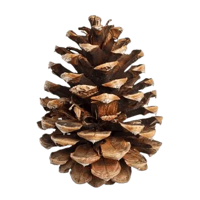 Image postée par le membre