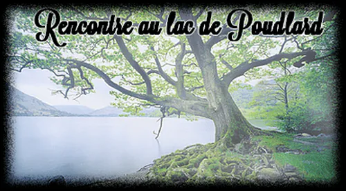 Image postée par le membre