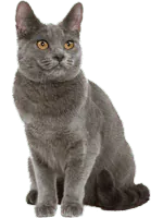 Image postée par le membre