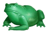 Image postée par le membre