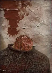 Image postée par le membre