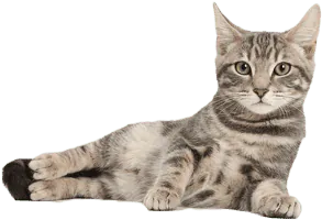 Image postée par le membre